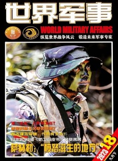 世界軍事