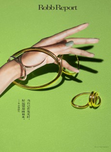 羅博報告雜志