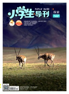 小學生導刊·中年級