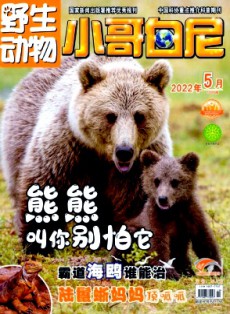 小哥白尼·野生動物畫報