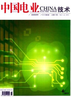 中國電業(yè)·技術版